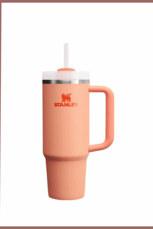 كوب كوينشر H2.0 فلوستيت – 40 أوقية – نكتارين