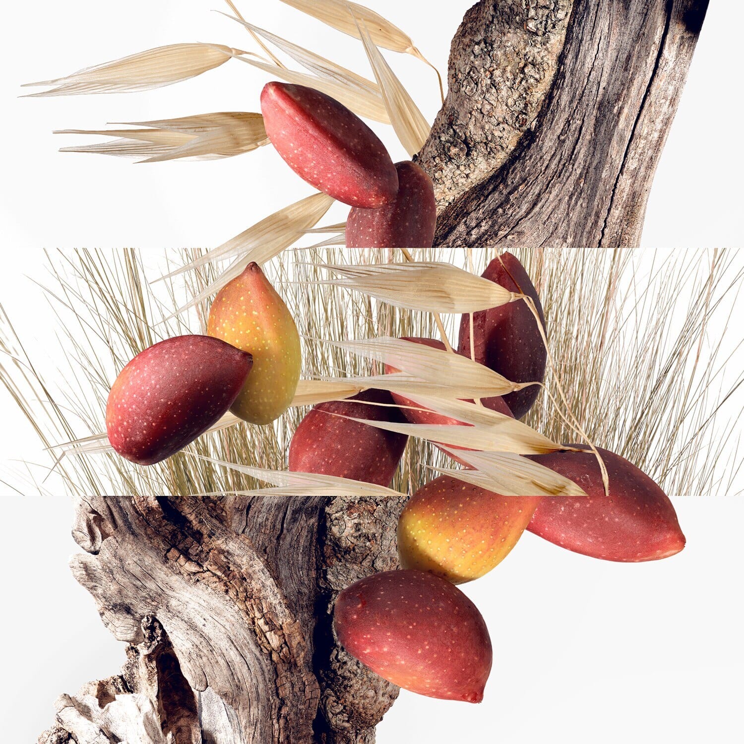 ماء تواليت أن جاردن أسيتير - الصورة 3