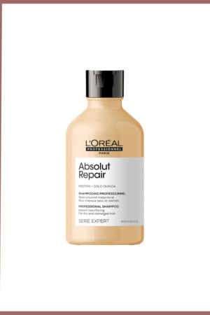 شامبو أبسولوت ريبير، للشعر الجاف والتالف